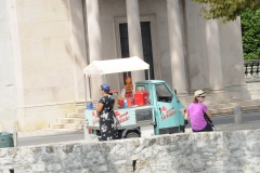 Miste1201900381