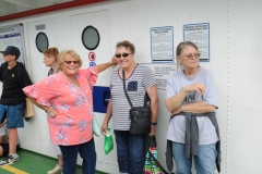Miste1201900389